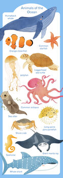 Ilustracija Animals of the Ocean