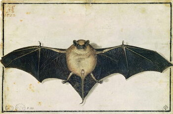Konsttryck Bat, 1522