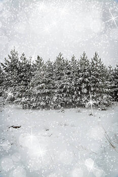 Illustrasjon Beautiful winter landscape with snow covered trees