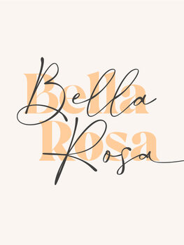 Illustrasjon Bella rosa