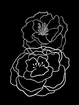 Ilustratie Black Poppies