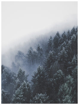 Ilustrace bordertreevalley