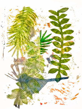 Stampa artistica Botanical jungle