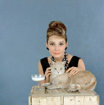 Konsttryck Breakfast at Titffany's, Audrey Hepburn with cat