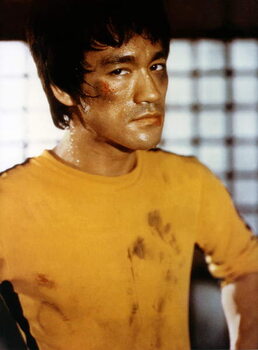 Festmény reprodukció Bruce Lee