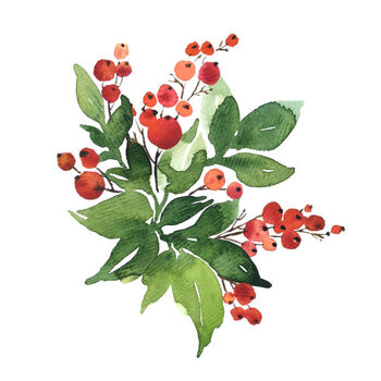 Illustrazione Christmas watercolor bouquet arranging with holly