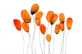 Lámina Cluster of orange flowers against white background