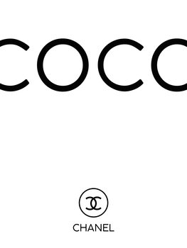 Lámina coco2