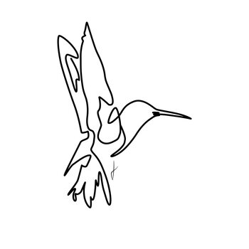 iIlustratie Colibri