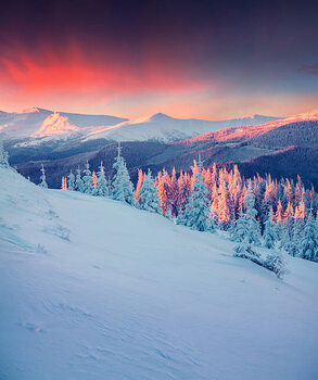 Ilustracija Colorful winter scene in the Carpathian mountains.