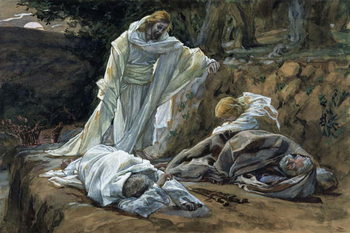 Reproducción de arte Could Ye Not Watch with Me One Hour?, illustration for 'The Life of Christ', c.1886-94