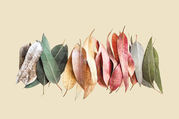 илюстрация Creative layout made of green, gray, orange, red and purple leaves on beige background.