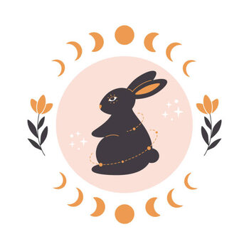 Ilustrare Cute rabbit with astrology, botany and