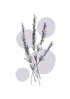 Ilustracija Delicate Botanicals - Lavender