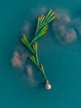 Kunsttryk Drone shot looking down on a