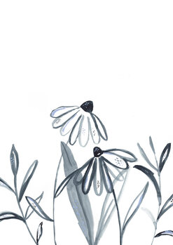Ilustrare Echinacea meadow