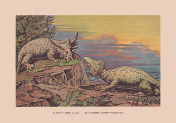 Illustrazione Elginia mirabilis and Hyperodapedon gordoni, chromolithograph,