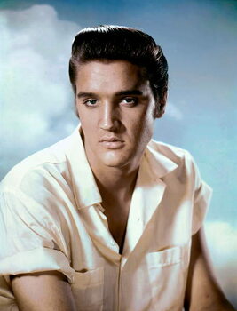 Kunstfotografie Elvis Presley 1956