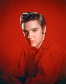 Fotografia artistica Elvis Presley 1956
