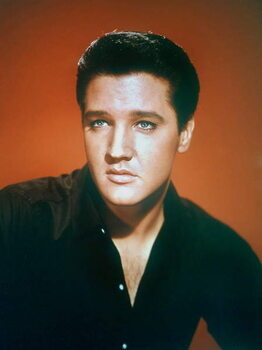 Umjetnička fotografija Elvis Presley 1963