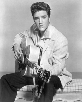Konstfotografering Elvis Presley