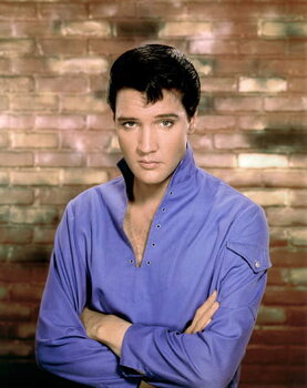 Umelecká fotografie Elvis Presley