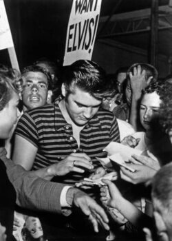 Reprodukcja Elvis Presley Signing Autographs To his Admirers in 1956