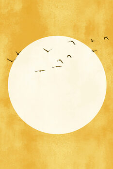 Ilustratie Eternal Sunshine