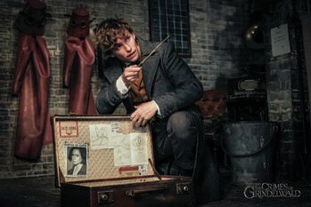 Konsttryck Fantastiska vidunder - Newt and magic case