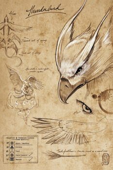 Druk artystyczny Fantastyczne zwierzęta - Thunderbird