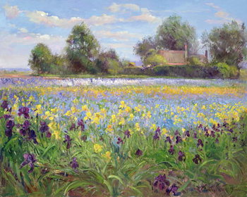 Festmény reprodukció Farmstead and Iris Field, 1992