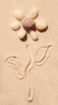 Illustration Flower of sea stones drawn on