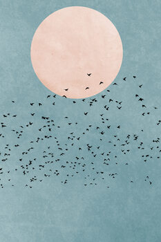 Illustration Fly Away