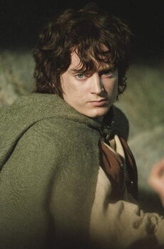 Umelecká fotografie Frodo