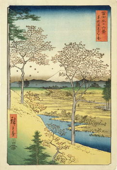 Reproducción de arte Fuji from Yuhi-Ga, Megwo, No.10 from the series '36 Views of Mt.Fuji' ('Fuji Saryu Rokkei'),