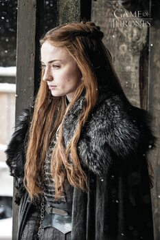 Konsttryck Game of Thrones  - Sansa Stark