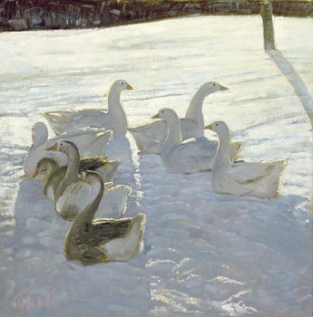 Kunsttryk Geese Against the Light