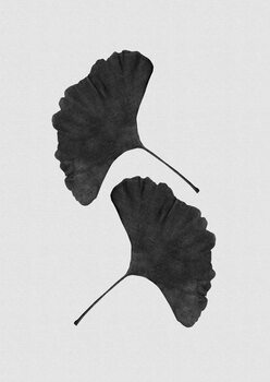 илюстрация Ginkgo Leaf Black & White II