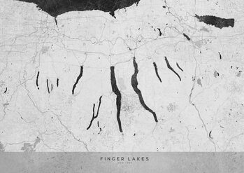Karta Gray vintage map of Finger Lakes