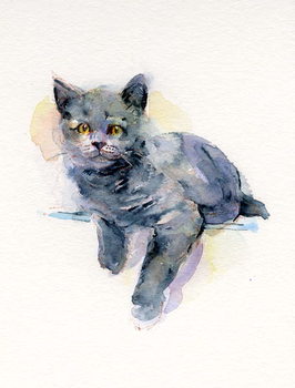 Konsttryck Grey kitten, 2017,