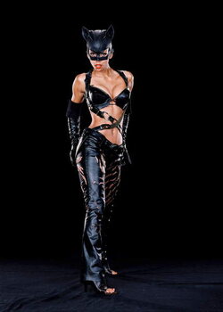 Umelecká fotografie Halle Berry, Catwoman 2004