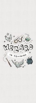 Stampa d'arte Harry Potter - Addestramento per maghi