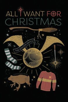 Umělecký tisk Harry Potter - All I Want For Christmas