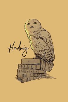 Druk artystyczny Harry Potter - Hedwig