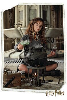 Umjetnički plakat Harry Potter - Hermione Granger