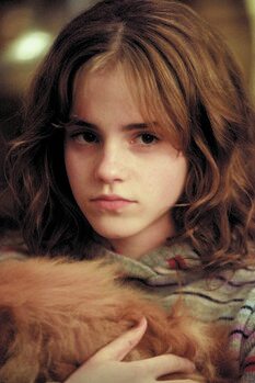Impression d'art Harry Potter - Hermione Granger