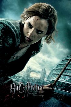 Umělecký tisk Harry Potter - Hermione
