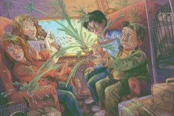 Impression d'art Harry Potter - Mimbulus Mimbletonia