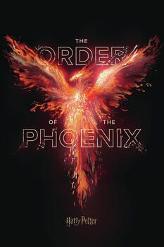 Poster de artă Harry Potter - Ordinul Phoenix
