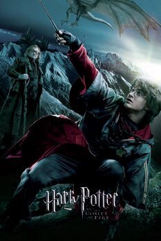 Umjetnički plakat Harry Potter - Plameni Pehar - Harry